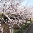 プライバシーポリシー