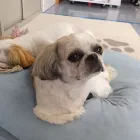 当施設の特徴